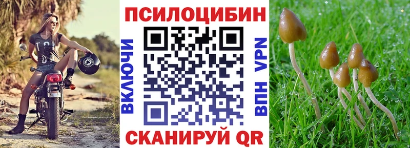 Галлюциногенные грибы MAGIC MUSHROOMS  Купить закладки  Западная Двина 