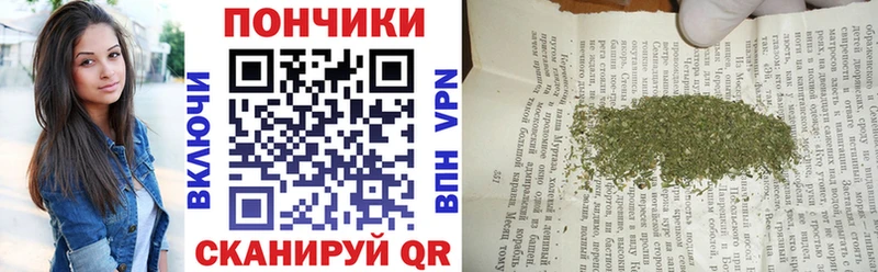 Конопля Amnesia  Купить закладки  Западная Двина 